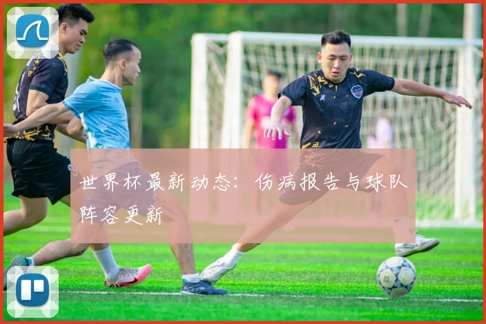 世界杯最新动态:伤病报告与球队阵容更新